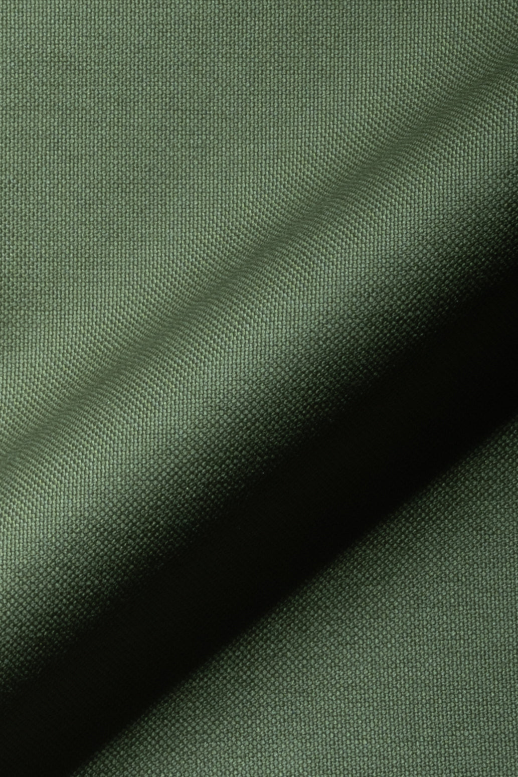 Olive Oxford Two-Ply