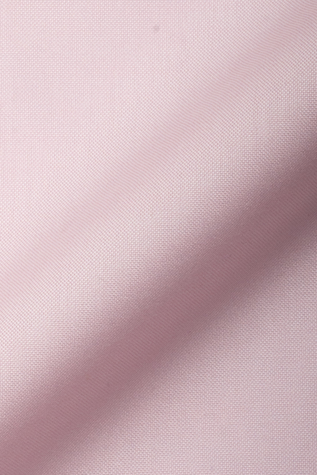 Pink Oxford Two-Ply