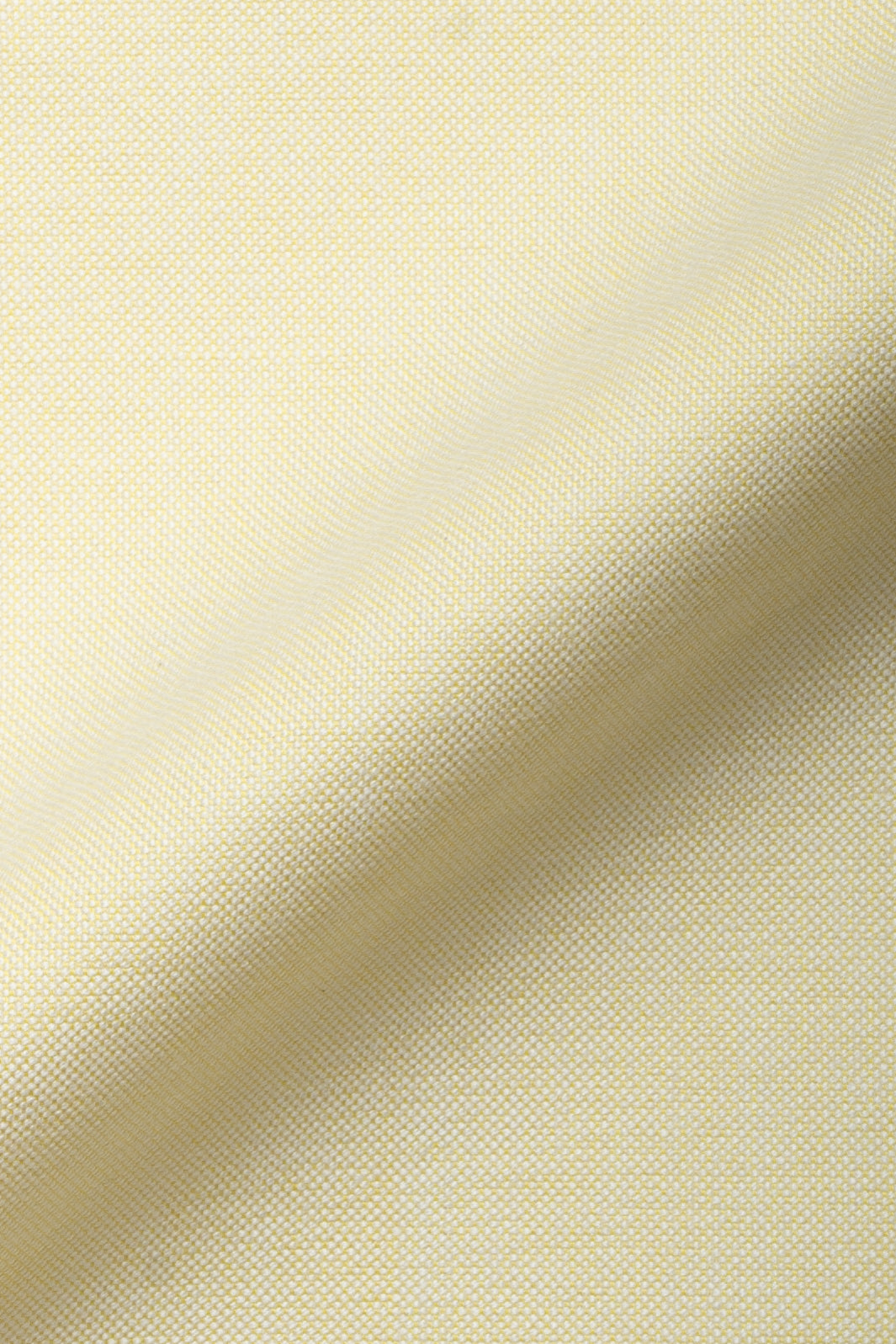 Yellow Oxford Two-Ply